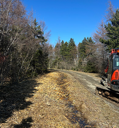 Projects_Mulching
